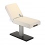 Evavo Earthlite Everest Spa Pedestal Electric Tilt Table