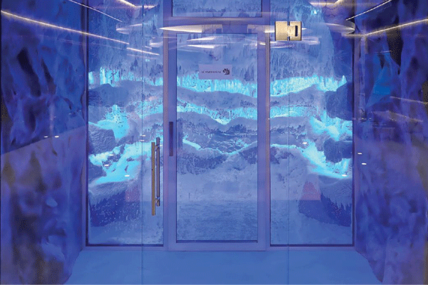 Snow Room